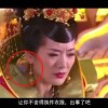 免费下载49图库全新版本49tk